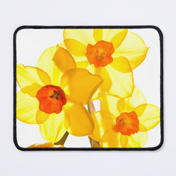 Item preview, Tiny Daffodills designed and sold by Christine Hosey.