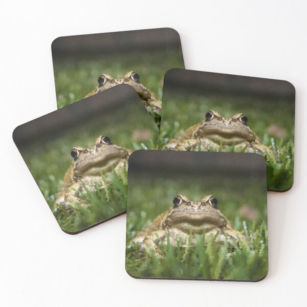 Item preview, Slightly Judgmental Toad designed and sold by MathenaArt.