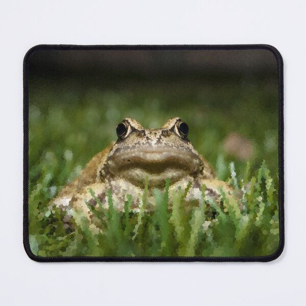 Item preview, Slightly Judgmental Toad designed and sold by MathenaArt.