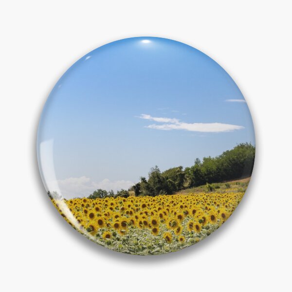 Item preview, Sunflowers field in Italy. Scenic countryside in Tuscany with blue sky. designed and sold by Paolo Modena Photography - Fine Italian Art.