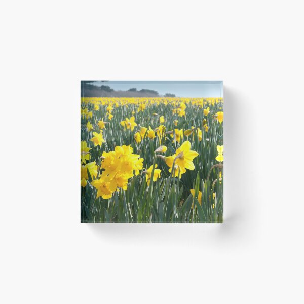 Item preview, Springtime designed and sold by Christine Hosey.