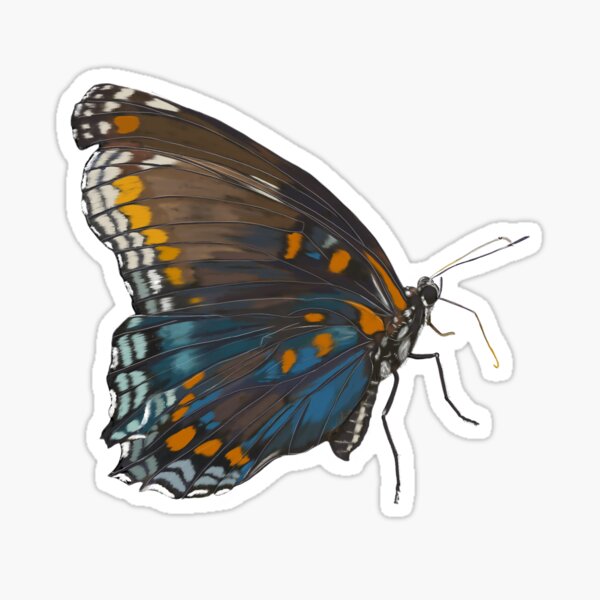 Item preview, Butterfly designed and sold by Wondersofwhimsy.
