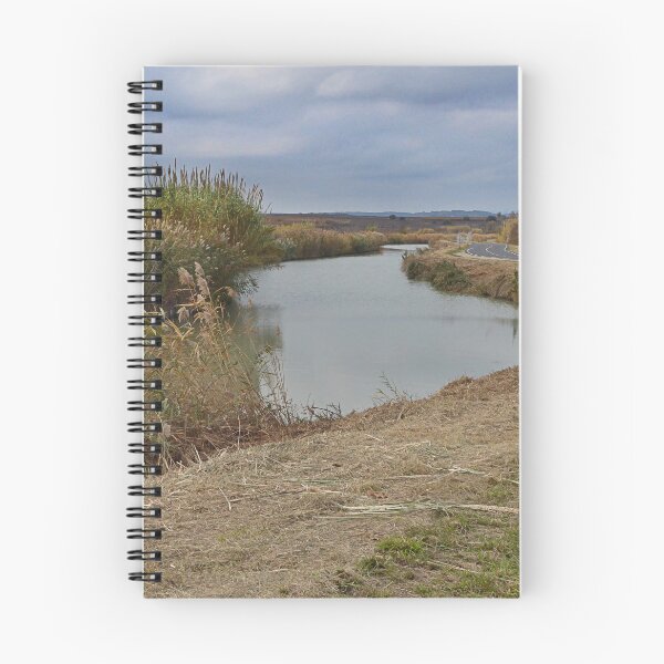 Item preview, Meandering Midi. designed and sold by Paul Pasco.
