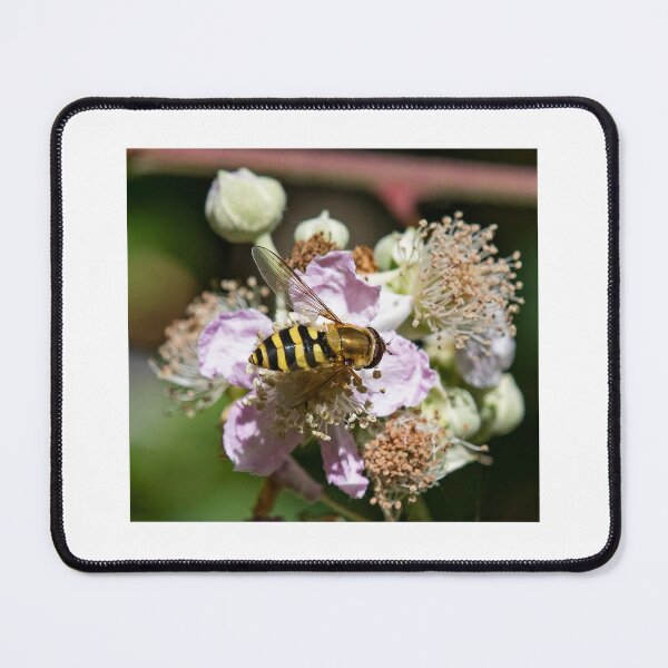 Item preview, Hoverfly on Wild Rose designed and sold by DonMc.