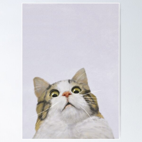 Scared Cat Posters for Sale