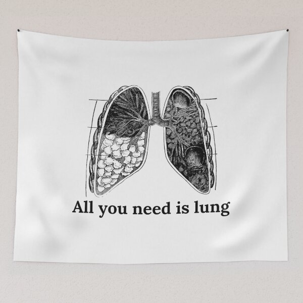 Item preview, Lung Pun | Anatomy and Physiology designed and sold by Cardinal Designs.