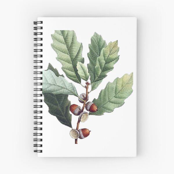 Item preview, Vintage Hazelnuts Wall Art  designed and sold by Eva Vincent.