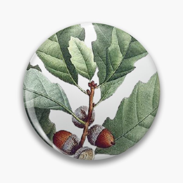 Item preview, Vintage Hazelnuts Wall Art  designed and sold by Eva Vincent.