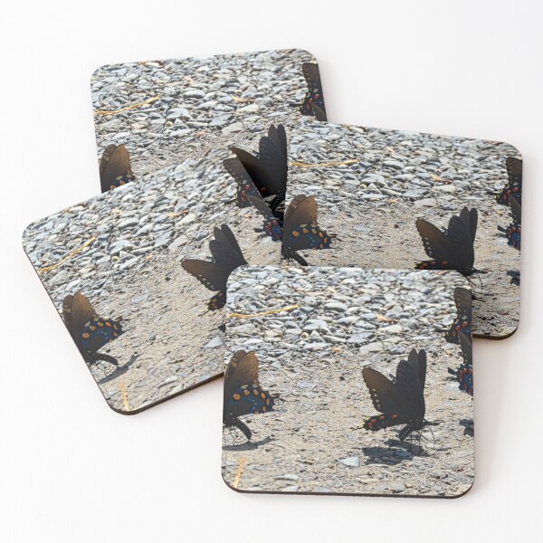 Item preview, Swallowtail Butterflies Panorama designed and sold by LisaWootenPhoto.