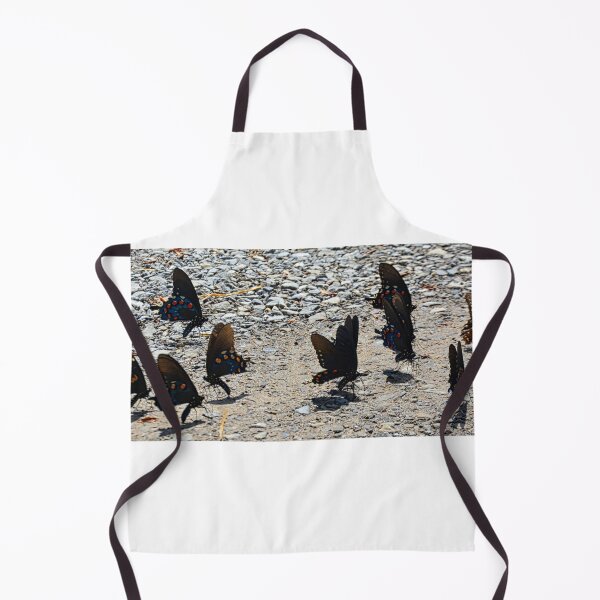 Item preview, Swallowtail Butterflies Panorama designed and sold by LisaWootenPhoto.