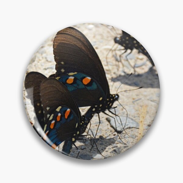 Item preview, Swallowtail Butterflies designed and sold by LisaWootenPhoto.