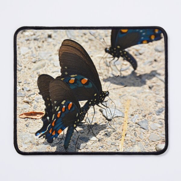 Item preview, Swallowtail Butterflies designed and sold by LisaWootenPhoto.