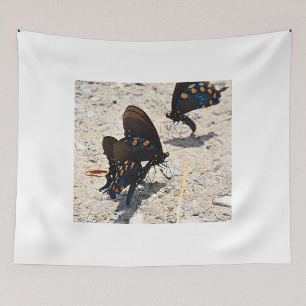 Item preview, Swallowtail Butterflies designed and sold by LisaWootenPhoto.