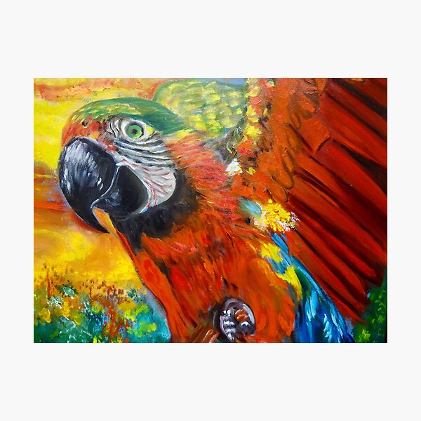 Item preview, Red Macaw designed and sold by jennyleeandjim.