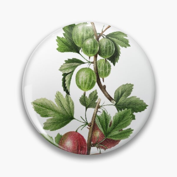 Item preview, Aesthetic Gooseberries Wall Art designed and sold by Eva Vincent.