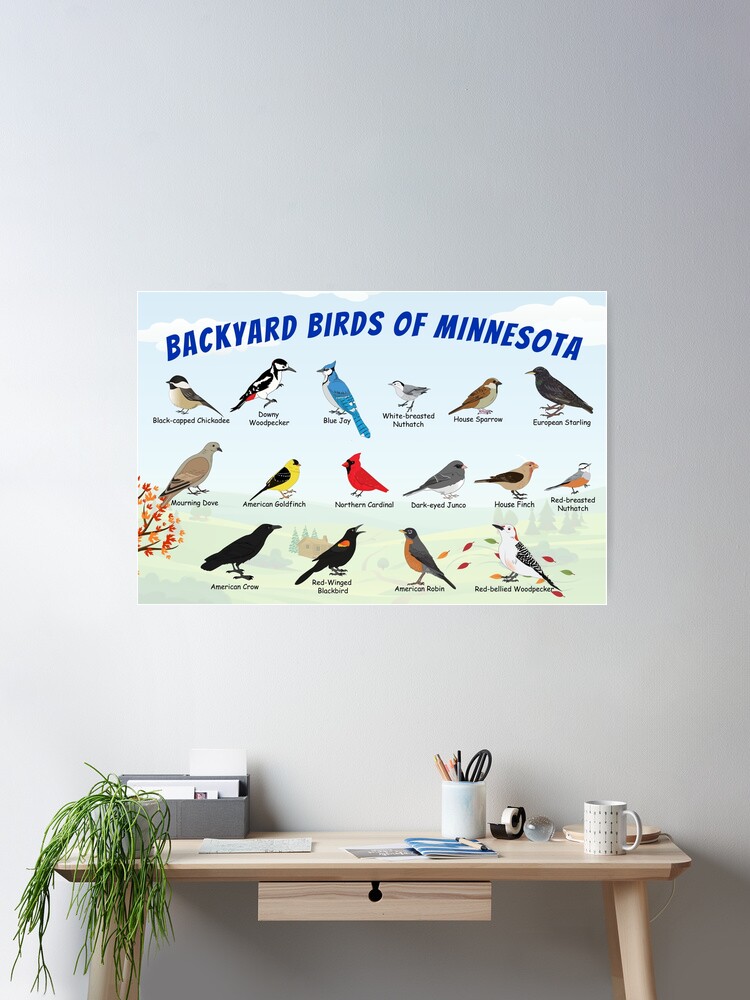 Thumbnail 2 of 3, Poster, Backyard Birds of Minnesota Autumn designed and sold by AndyMcBird.