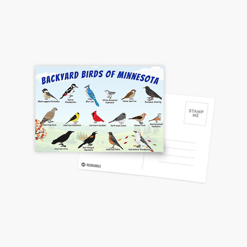 Item preview, Postcard designed and sold by AndyMcBird.