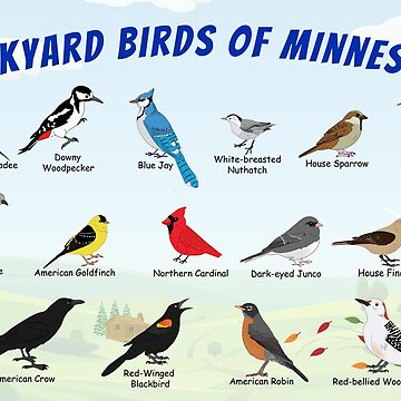 Artwork thumbnail, Backyard Birds of Minnesota Autumn by AndyMcBird