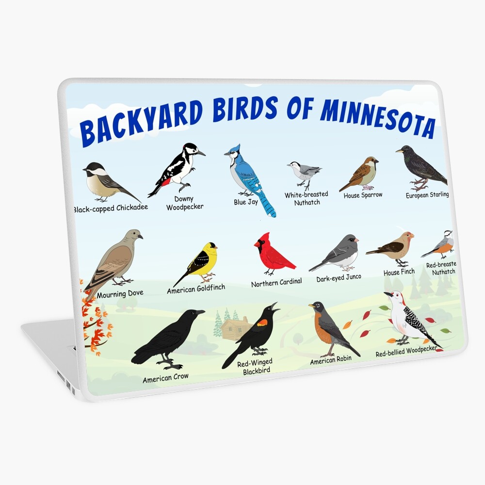 Item preview, Laptop Skin designed and sold by AndyMcBird.