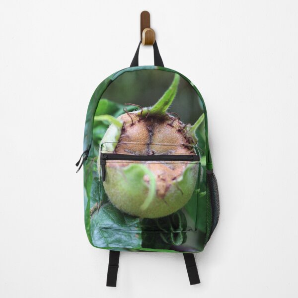 Item preview, Common Medlar designed and sold by pinkal.