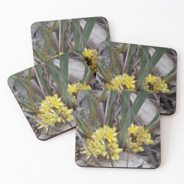Item preview, Yellow Conostylis designed and sold by lezvee.