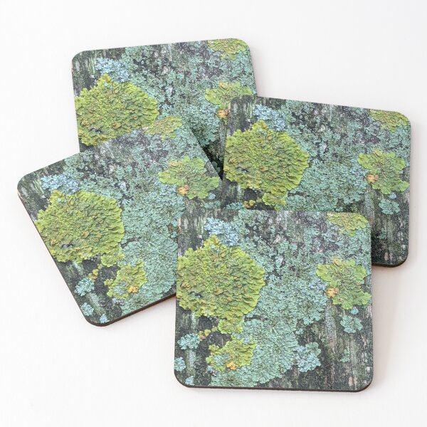 Item preview, Lichen Array designed and sold by aeolia.