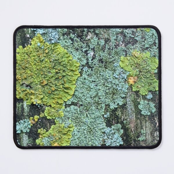 Item preview, Lichen Array designed and sold by aeolia.