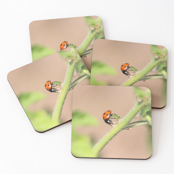 Item preview, Ladybird in the undergrowth designed and sold by GreyFeatherPhot.