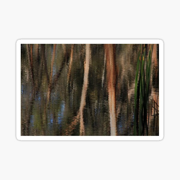Bush Tapestry Reflection Sticker
