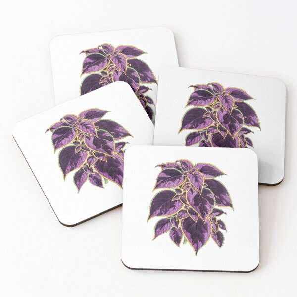 Item preview, Vintage Basilica Print designed and sold by Eva Vincent.