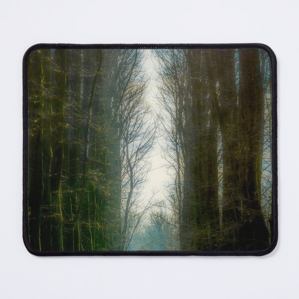 Item preview, Tree-lined avenue in the park designed and sold by Roberto Pagani.