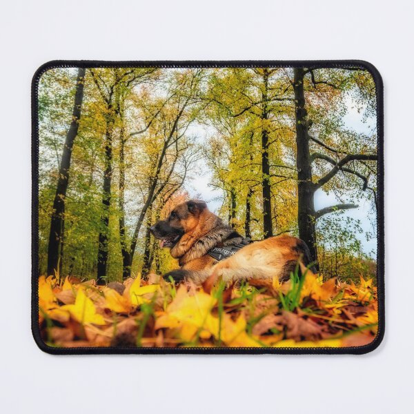 Item preview, Axel among autumnal leaves designed and sold by Roberto Pagani.