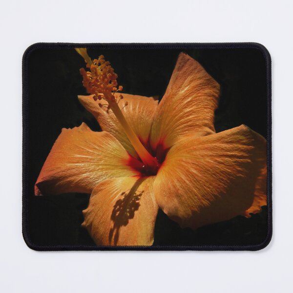 Item preview, A Phased Peach Hibiscus v.2 designed and sold by Mark Polk.
