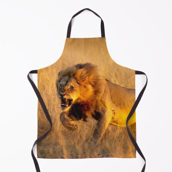 Item preview, Aggressive young lion charging designed and sold by Graham Prentice.