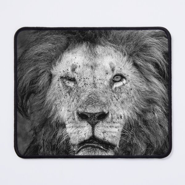 Item preview, One Eyed Lion designed and sold by Graham Prentice.