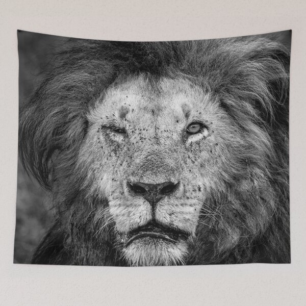 Item preview, One Eyed Lion designed and sold by Graham Prentice.