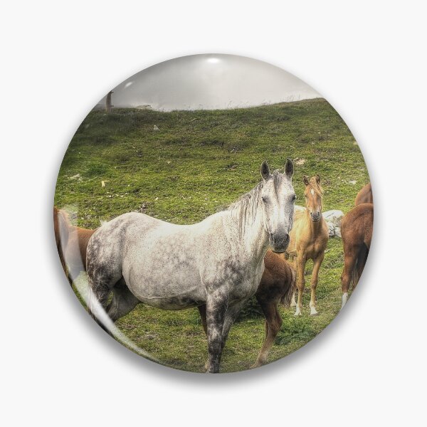 Item preview, White horse designed and sold by Roberto Pagani.