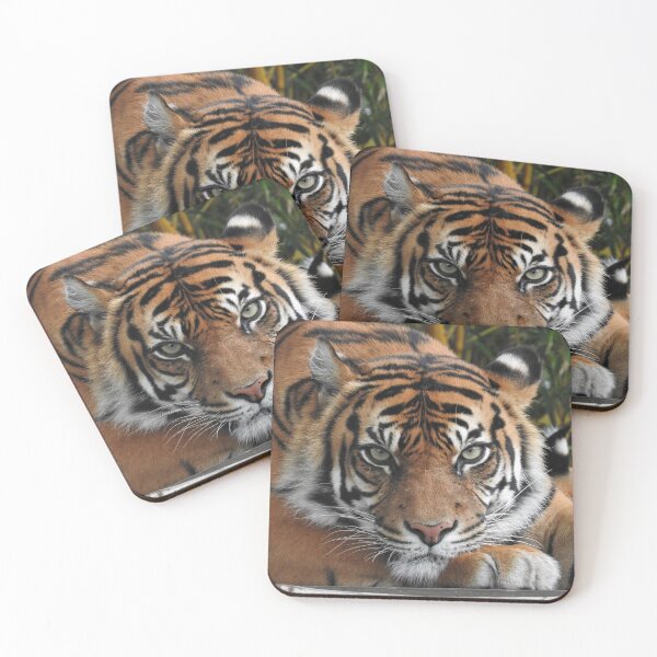 Item preview, Sumatran Tiger designed and sold by kirstybush.