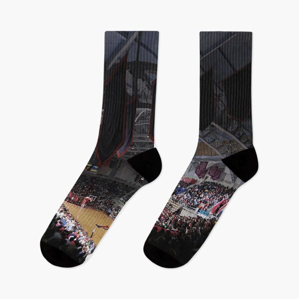 Item preview, The Palestra, Philadelphia College Basketball Arena, Old College Basketball Arenas, old stadiums, basketball designed and sold by Nostrathomas66.