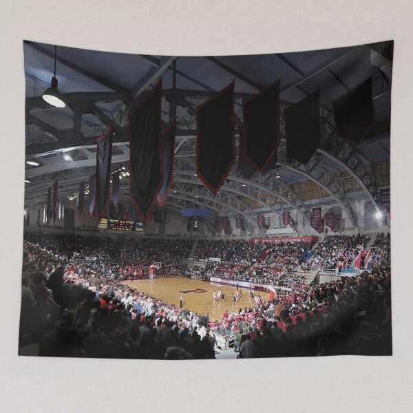Item preview, The Palestra, Philadelphia College Basketball Arena, Old College Basketball Arenas, old stadiums, basketball designed and sold by Nostrathomas66.