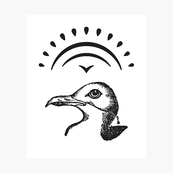 Item preview, Sunset Silver Gull designed and sold by Amirebdesign.