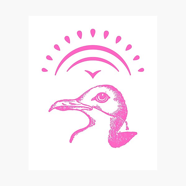 Item preview, Sunset Silver Gull designed and sold by Amirebdesign.