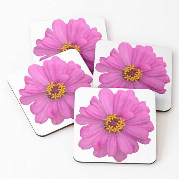 Item preview, Pink Zinnia Flower Still Life Floral Photography designed and sold by CottoVerdi.