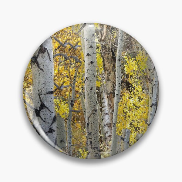 Artikelvorschau, Hope Valley Aspens in der Nähe von Lake Tahoe, Bryan W. Cole Photography entworfen und verkauft von Bryan W. Cole.