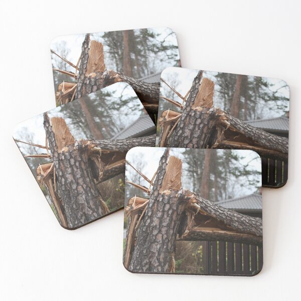 Item preview, huge pine tree is broken by the storm wind designed and sold by mrivserg.