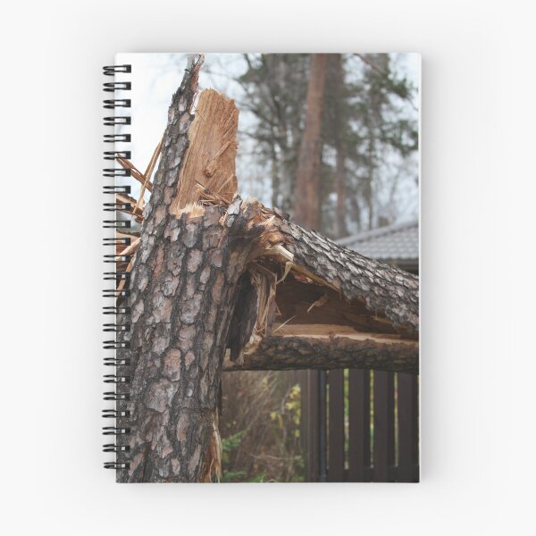 Item preview, huge pine tree is broken by the storm wind designed and sold by mrivserg.
