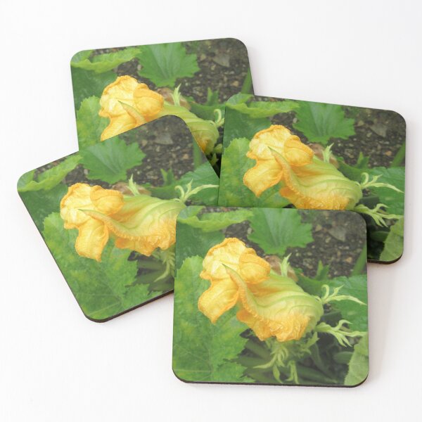Item preview, Emerging Courgette Flower designed and sold by lezvee.