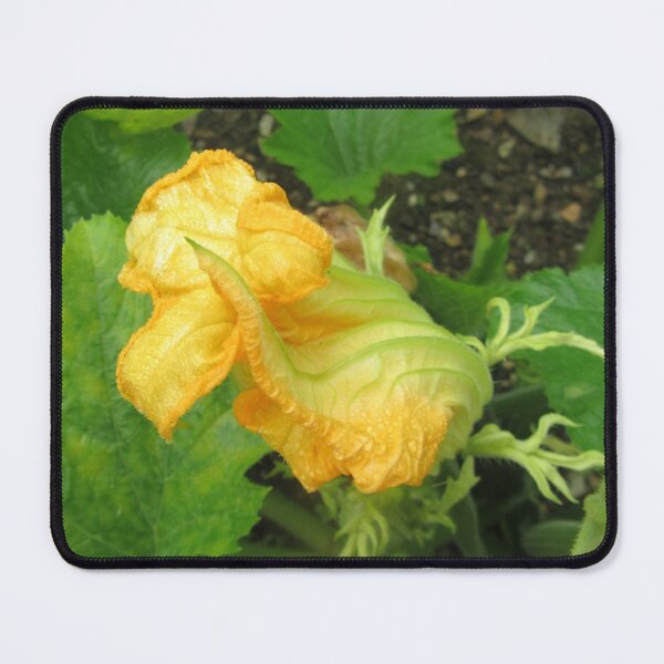 Item preview, Emerging Courgette Flower designed and sold by lezvee.