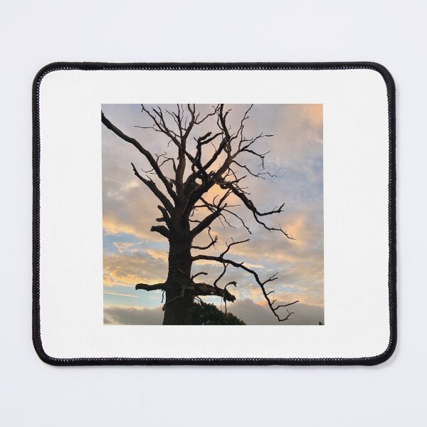 Item preview, Bold tree at dawn designed and sold by shadowcat789.