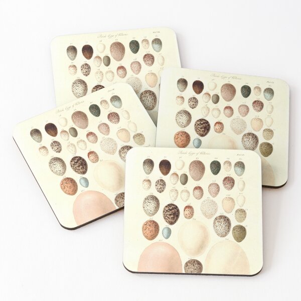 Item preview, Birds' Eggs - William Blandowski designed and sold by superbling.
